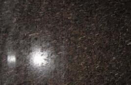 皇室啡米粒(li)蘤(hua)